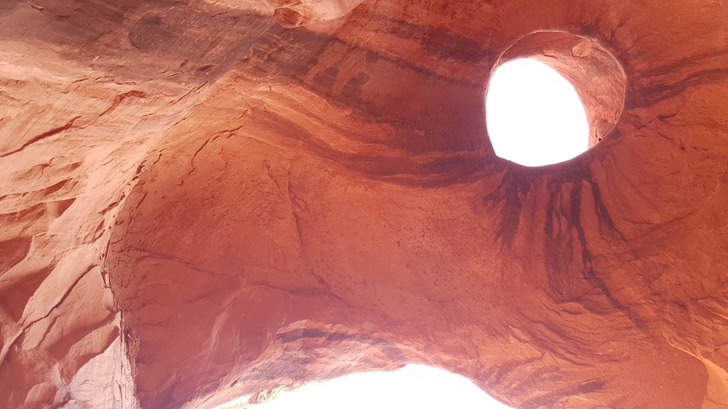 Une tête d'oiseau à Monument Valley