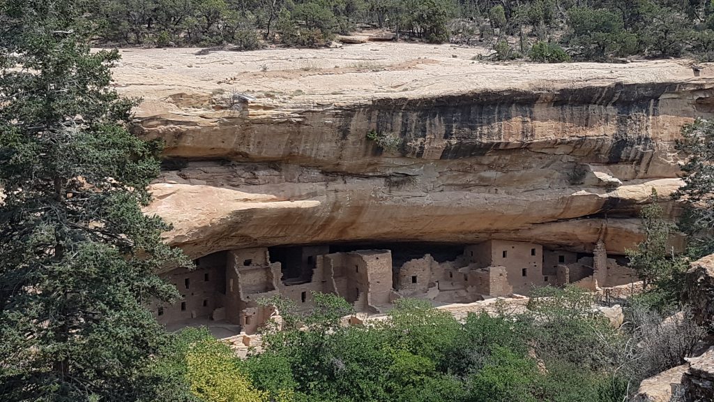 Spruce Tree House
