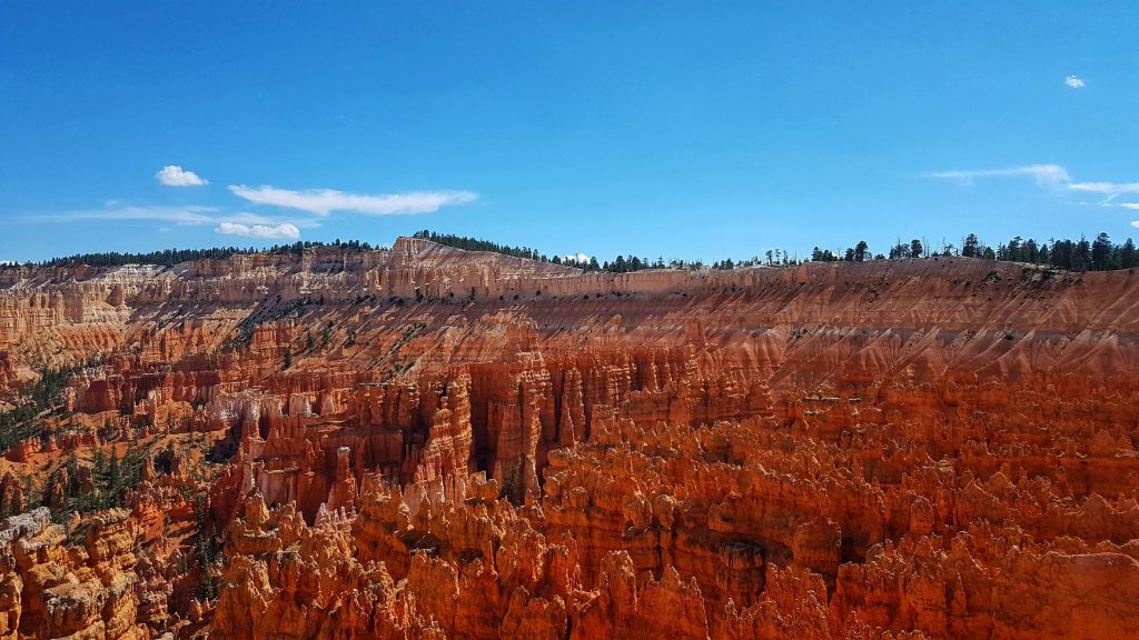 Vue depuis la Rim Trail