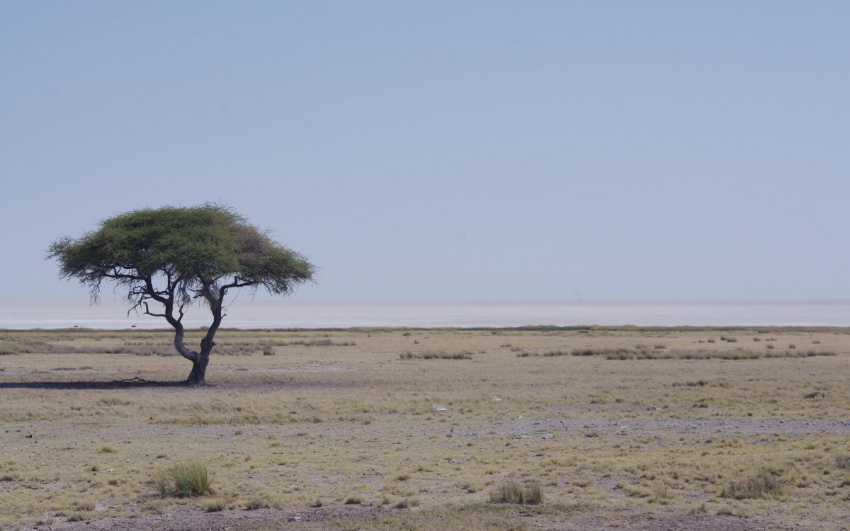 Etosha National Park Etosha National Park