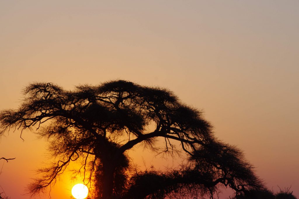 Coucher de soleil sur Chobe National Park