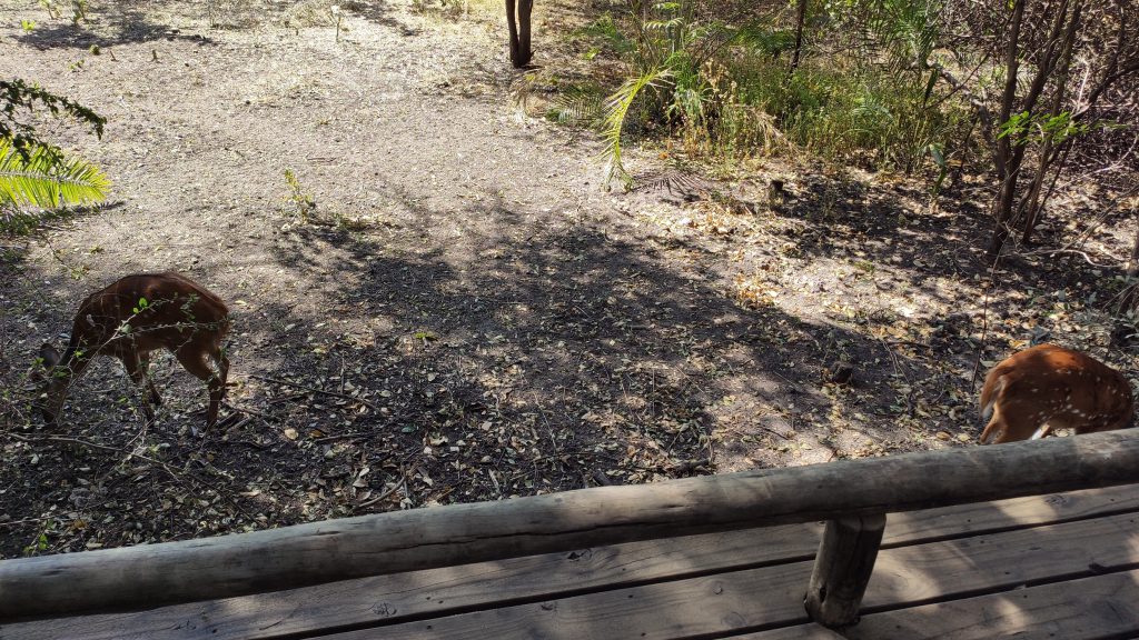 Bakwena Lodge
