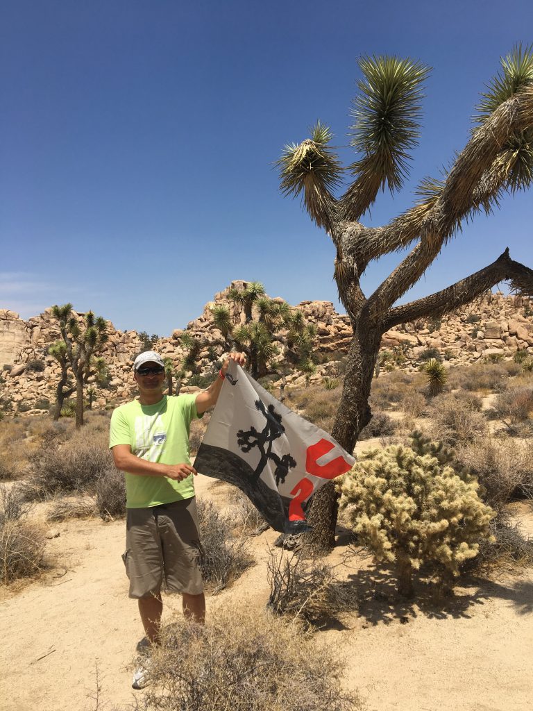 Hommage à l'album de U2, Joshua Tree