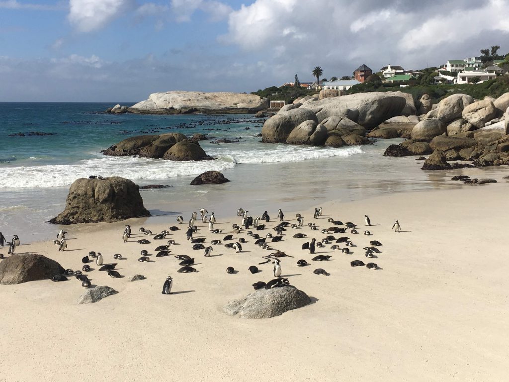 Boulders Beach
