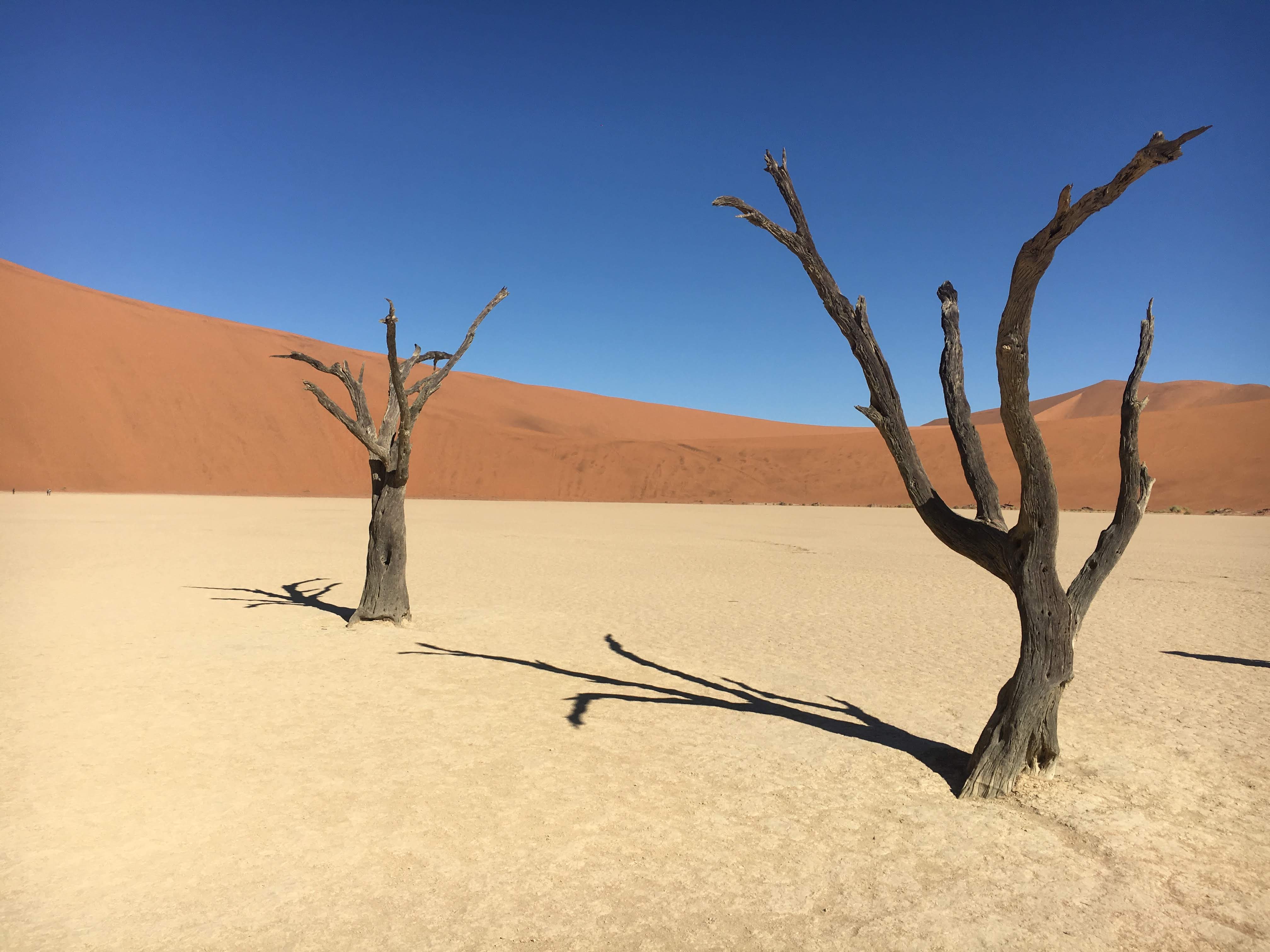 Sesriem et Sossusvlei