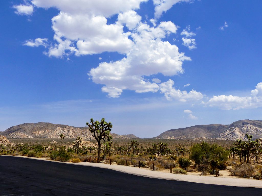 Joshua Tree National Park