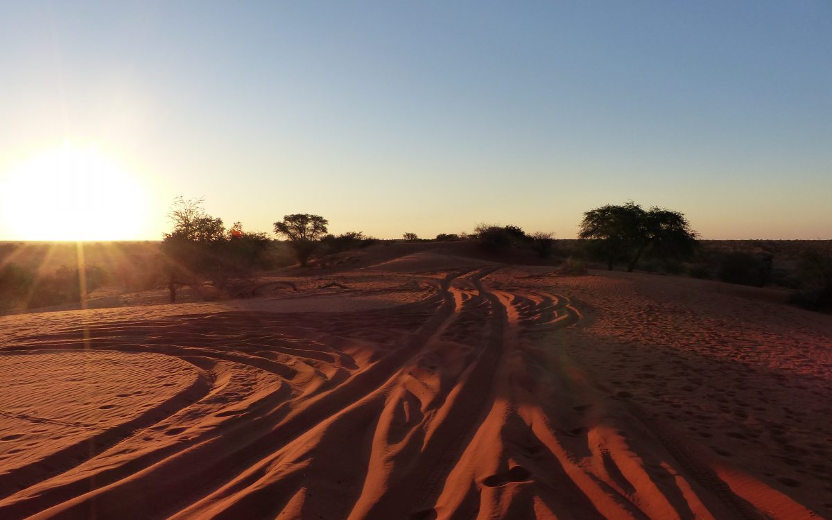 Désert du Kalahari Désert du Kalahari