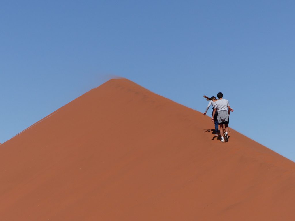 Big Daddy Dune