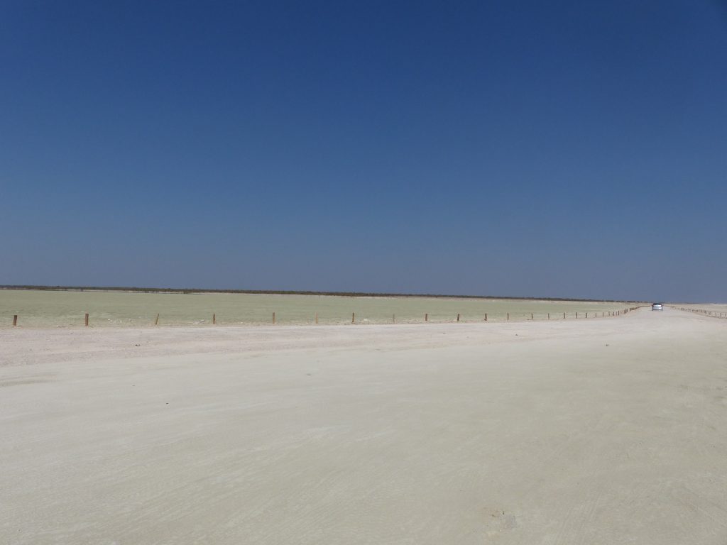 Le Pan d'Etosha National Park