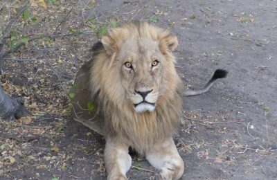 Chobe National Park