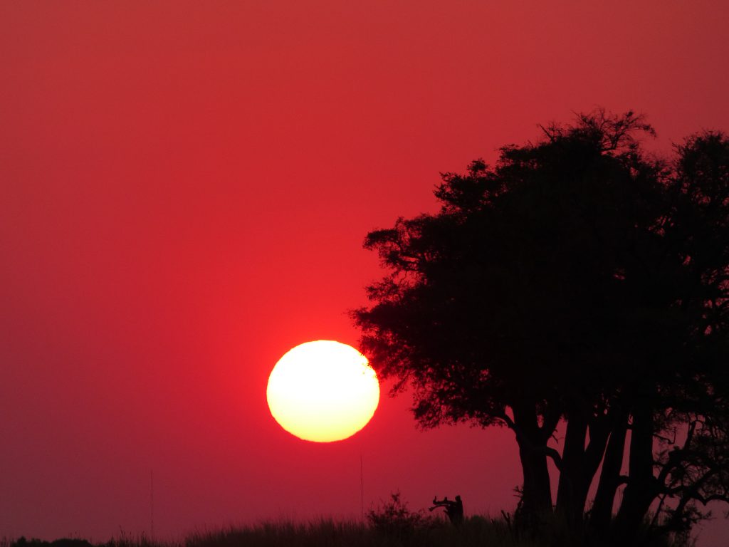 Coucher de soleil sur la rivière Chobe
