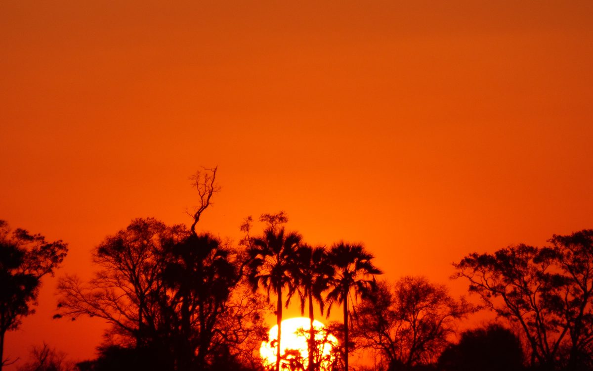 Delta de l’Okavango Delta de l’Okavango