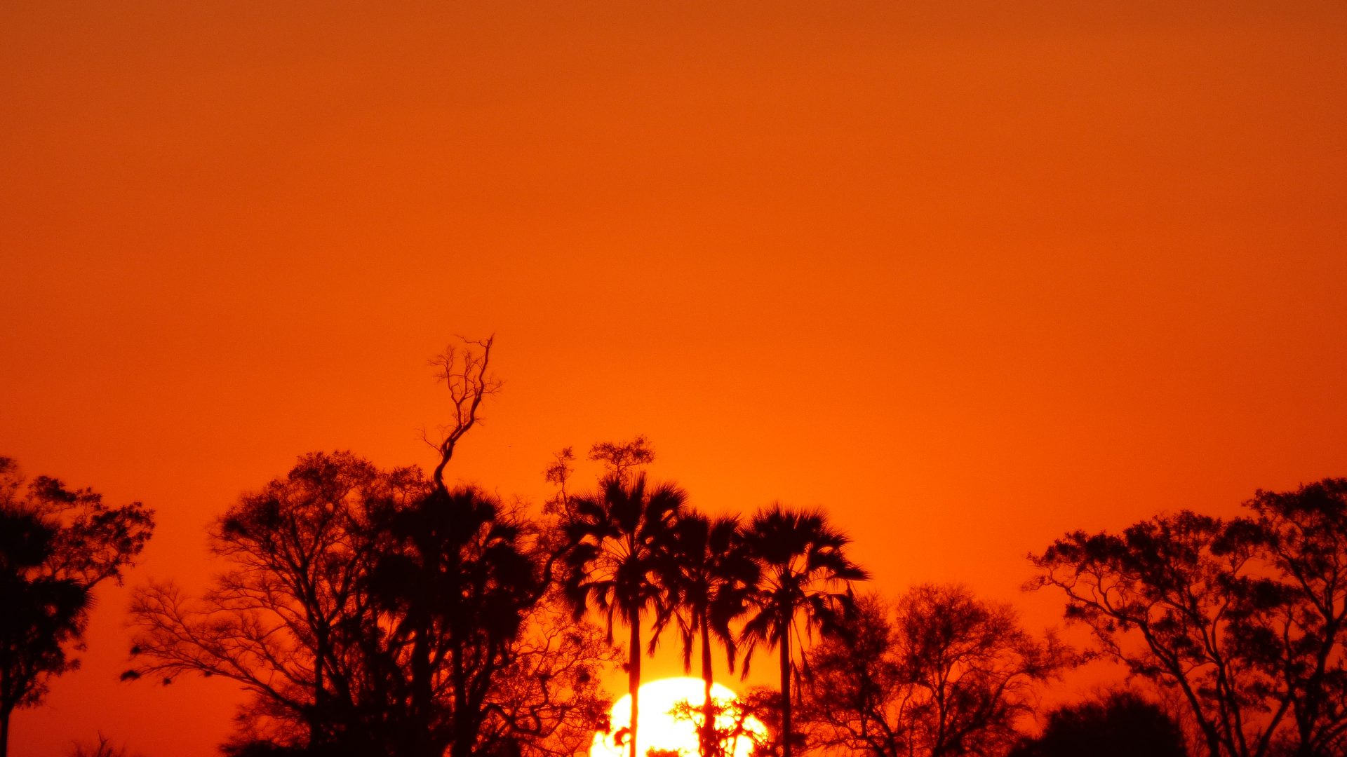 Afrique Australe Afrique Australe