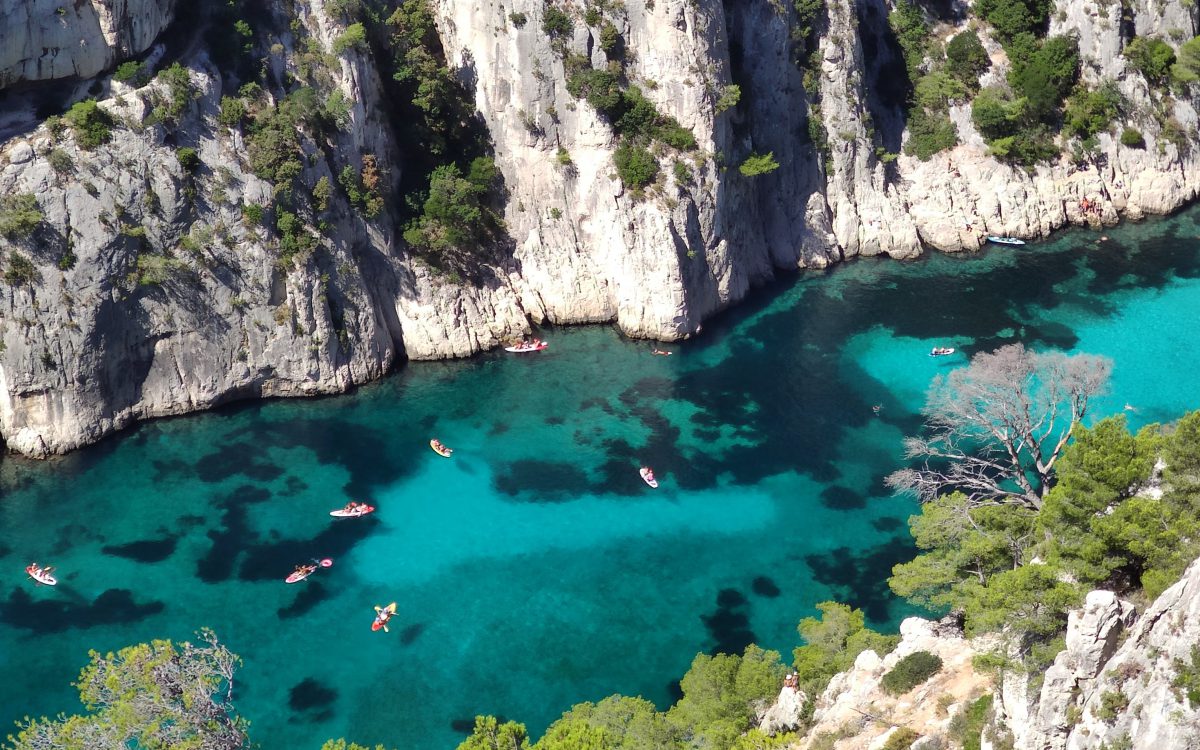 Cassis Cassis