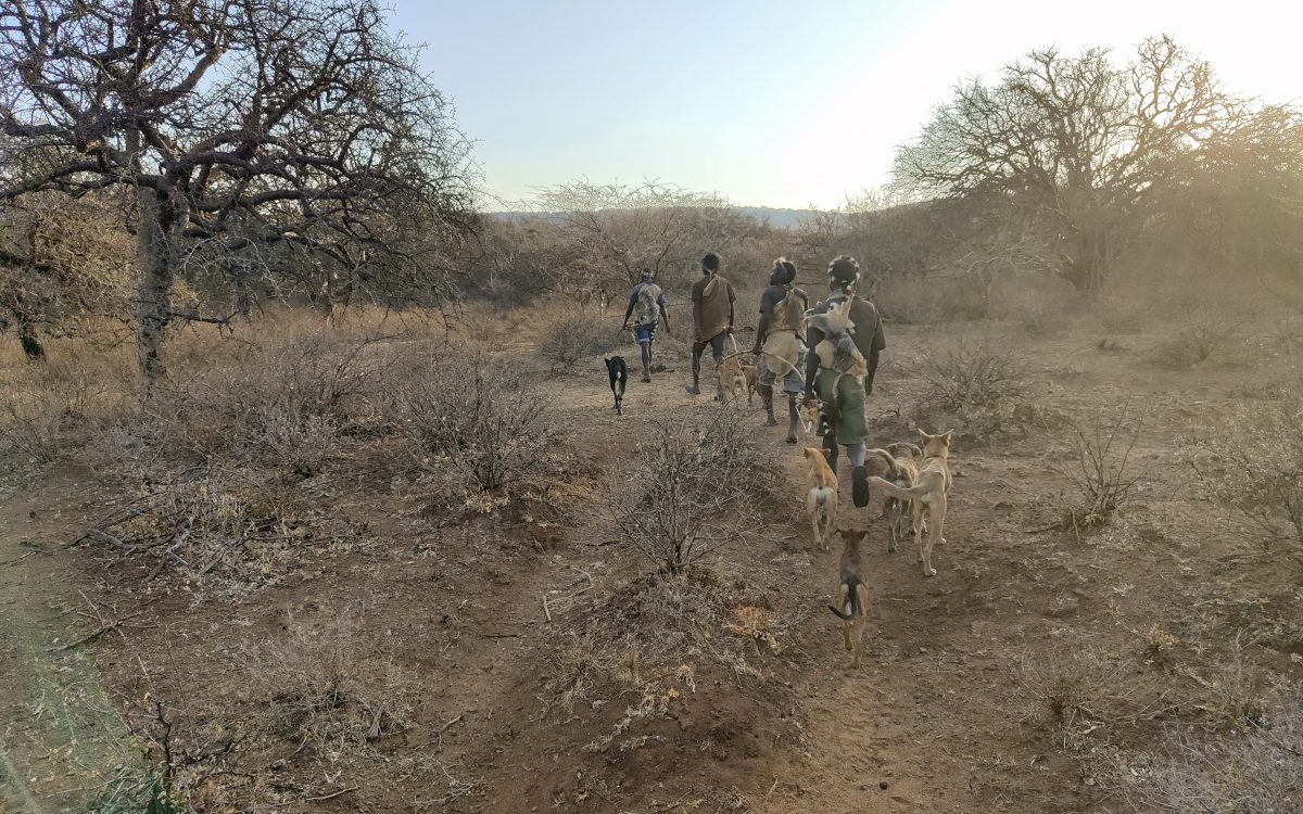 Chasse avec les Hadzabe et rencontre des Datoga Chasseurs Hadzabe