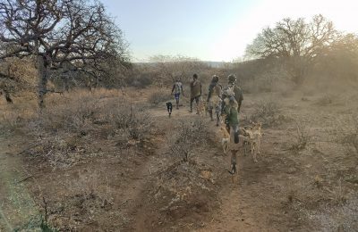 Chasseurs Hadzabe