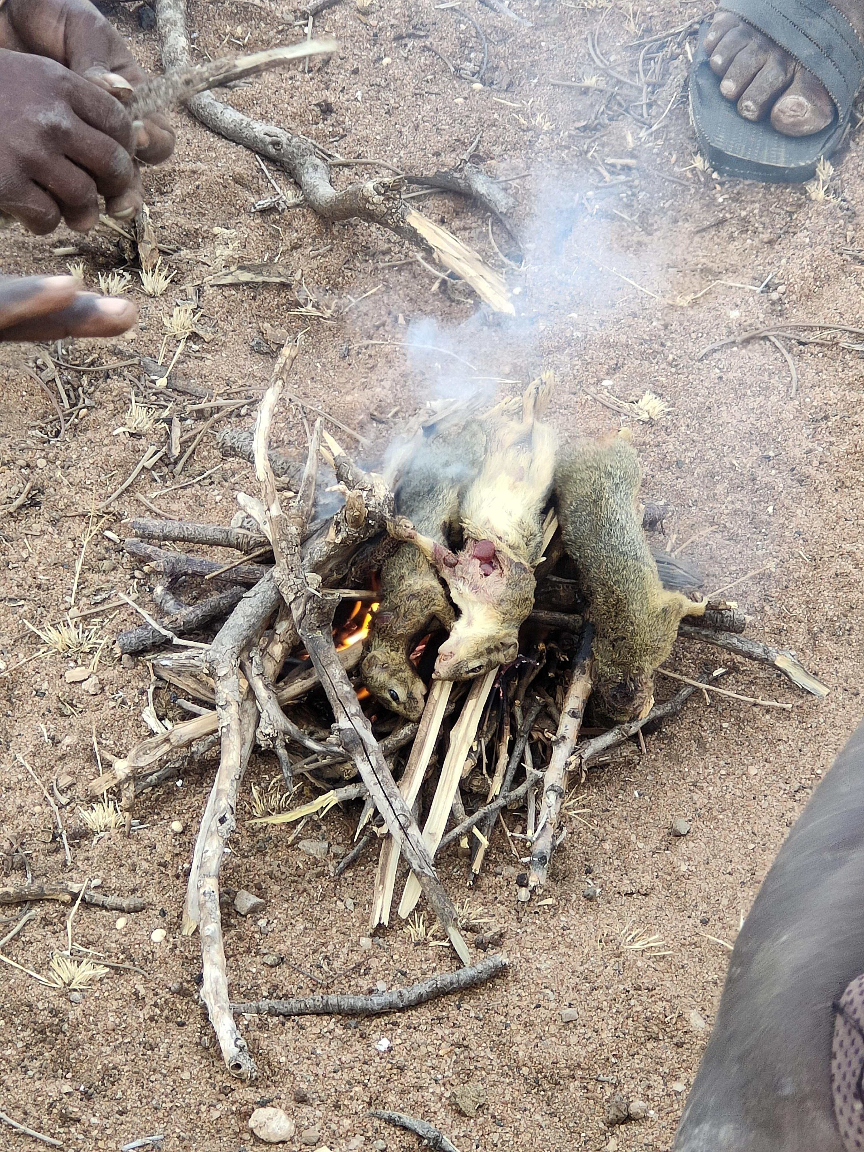 Ecureuil au d├®jeuner