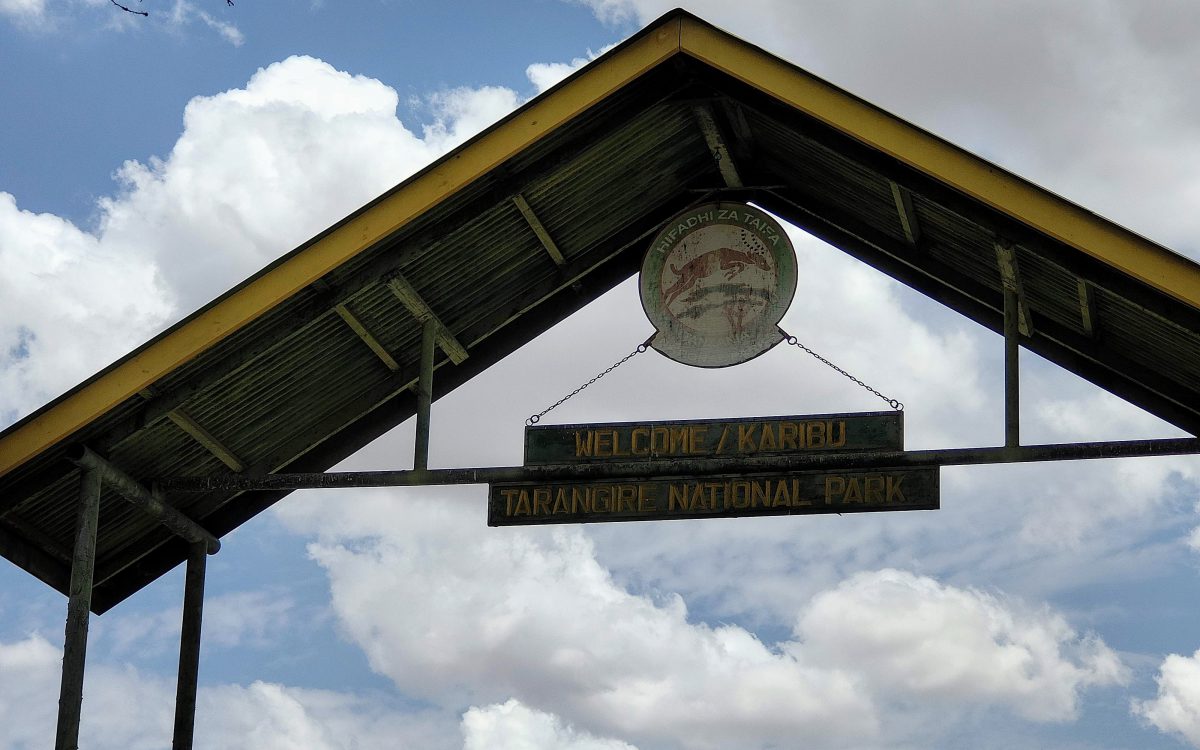Parc du Tarangire et retour Parc du Tarangire