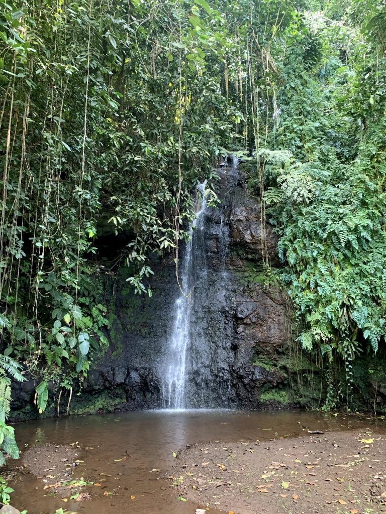 Jardins d'eau de Vaipahi