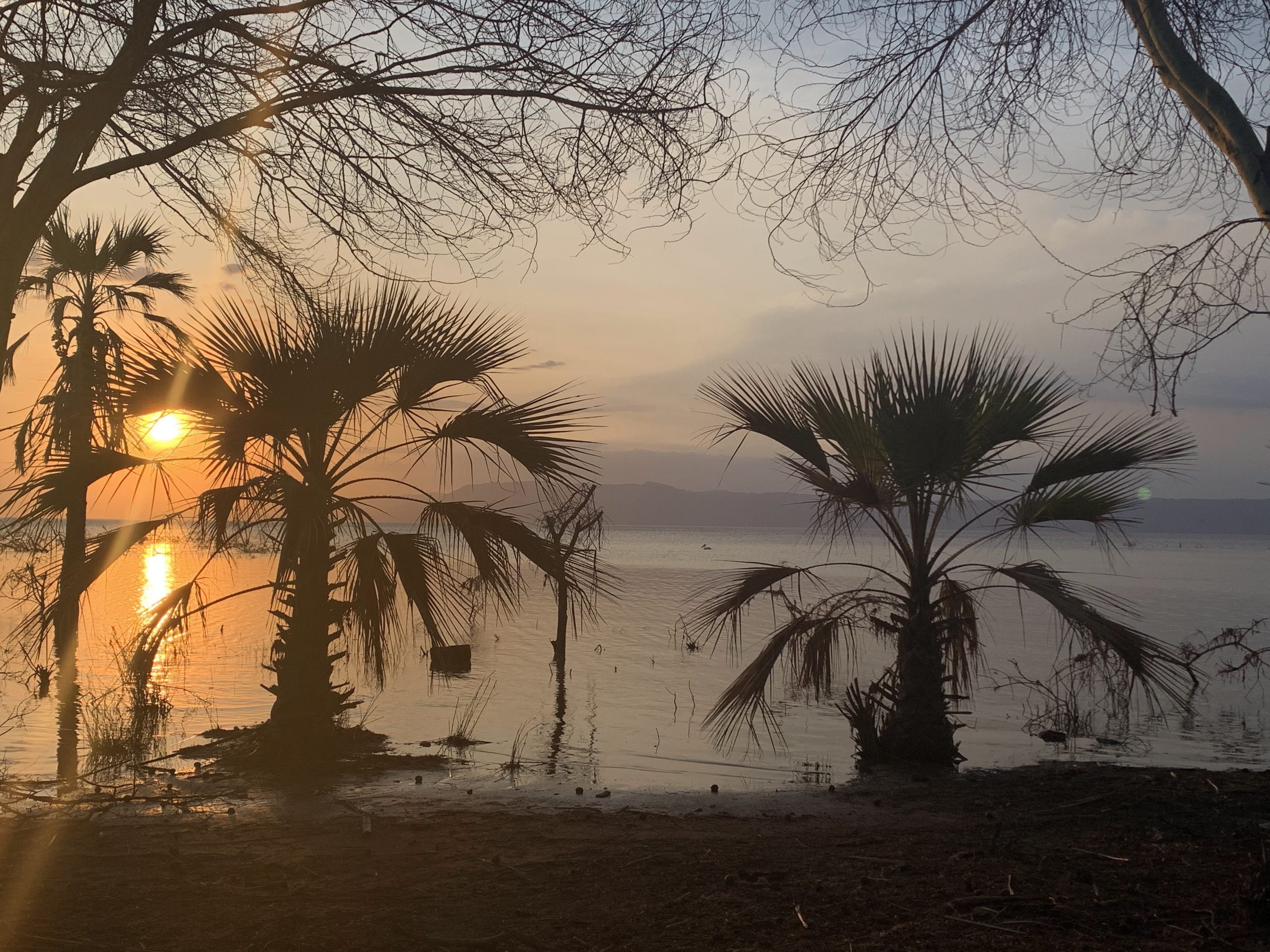 Lac Eyasi