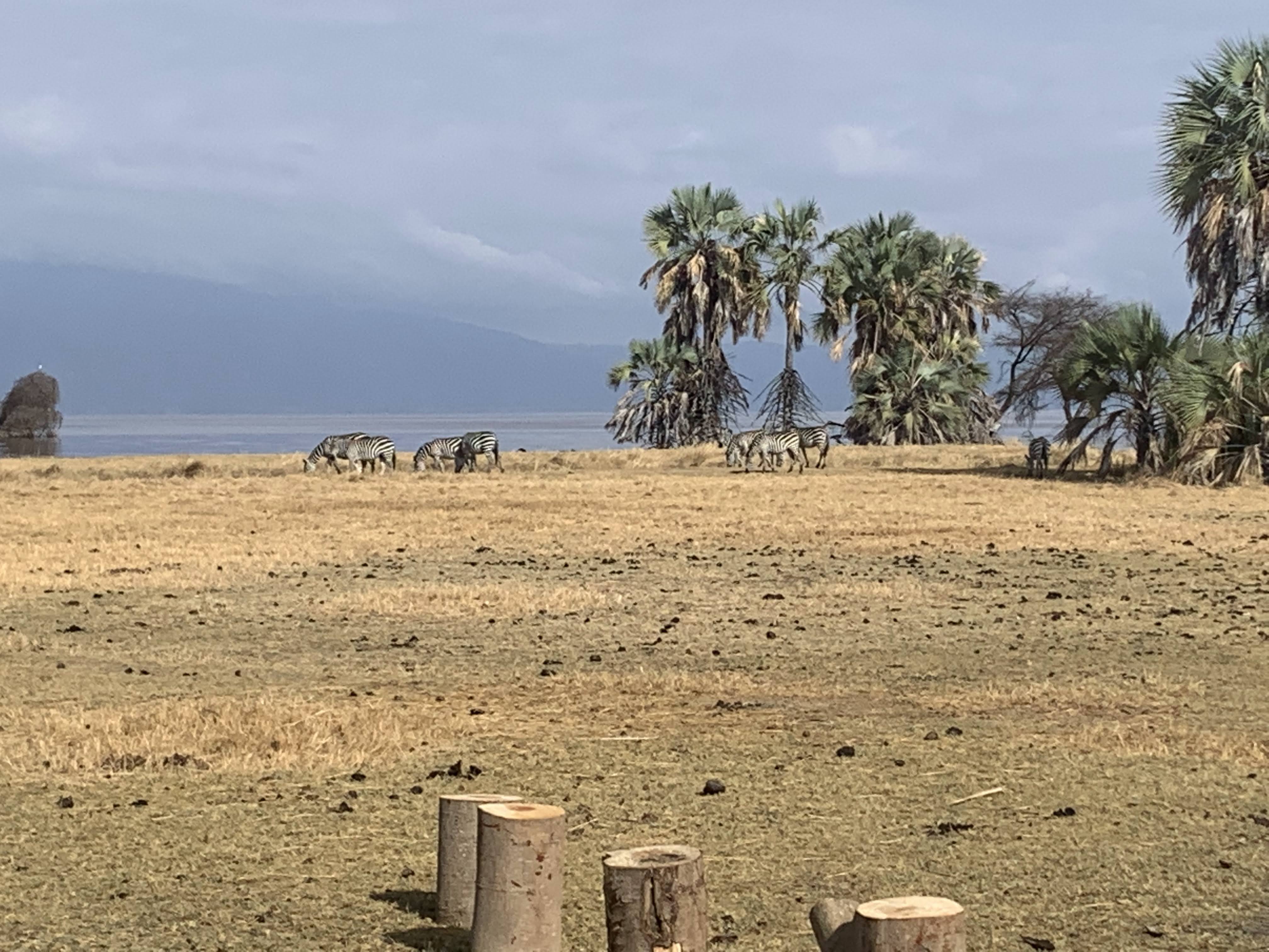 Maramboi Tented Camp