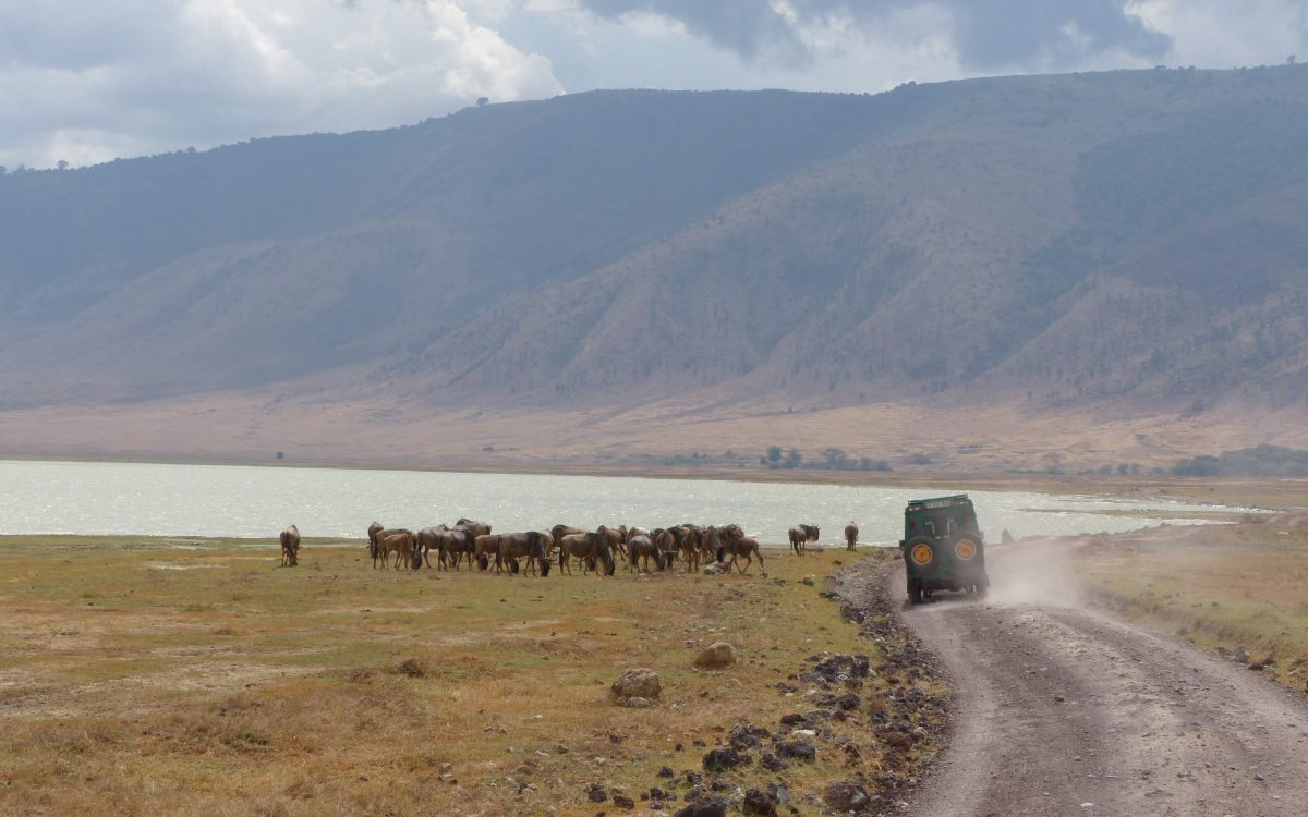 Cratère du Ngorongoro Cratère de Ngorongoro