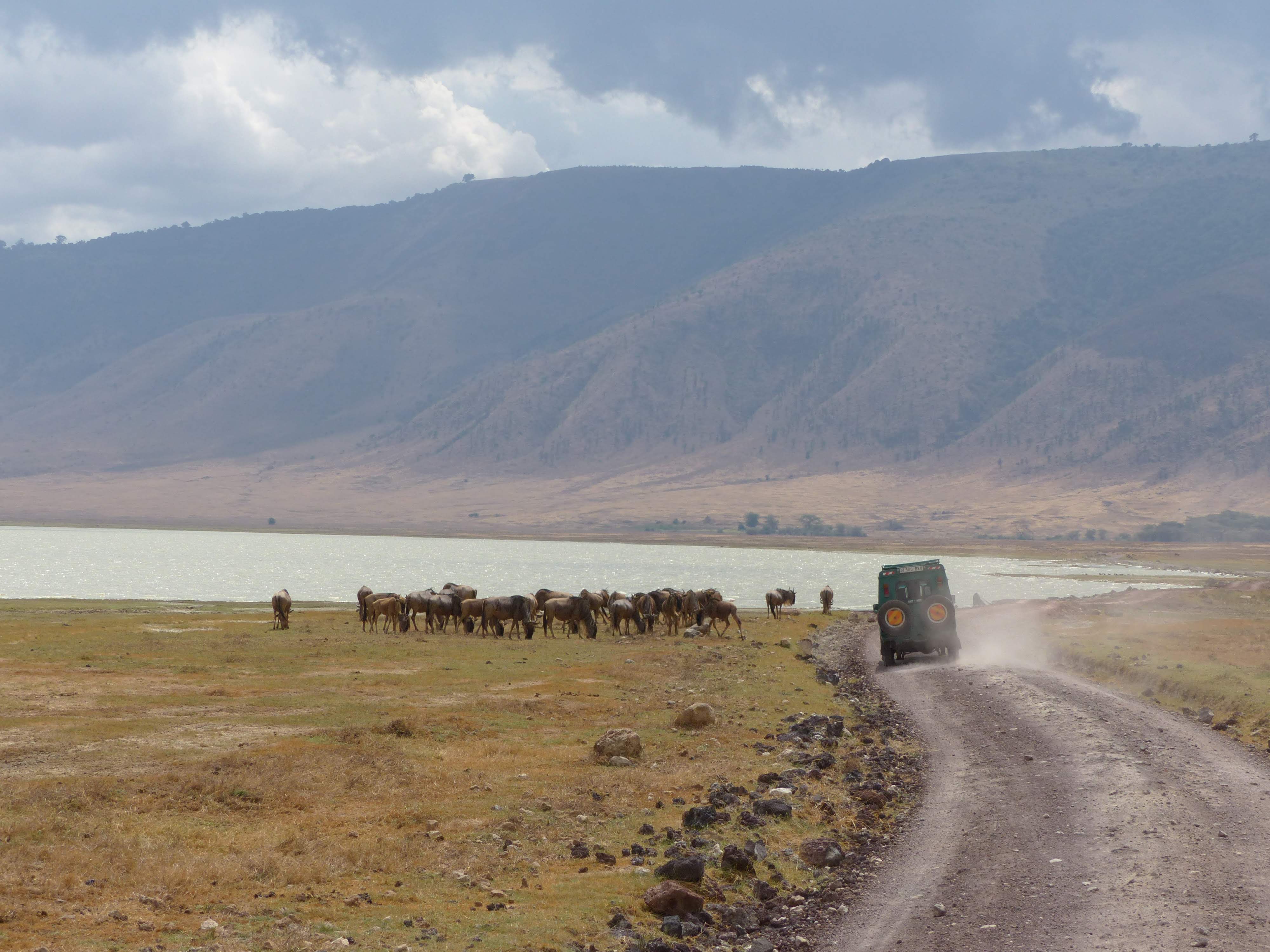 Crat├¿re de Ngorongoro