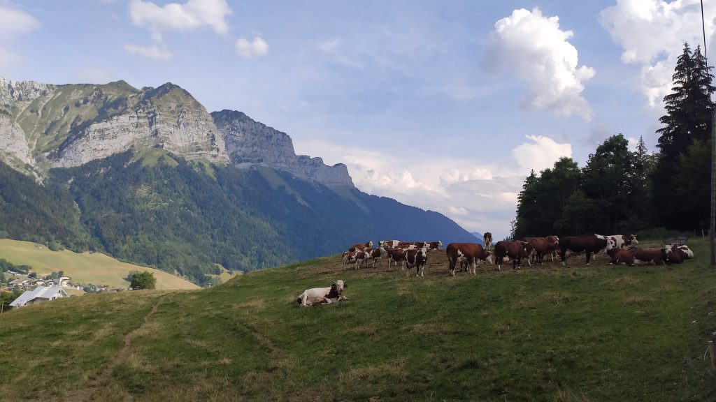 col de la Forclaz