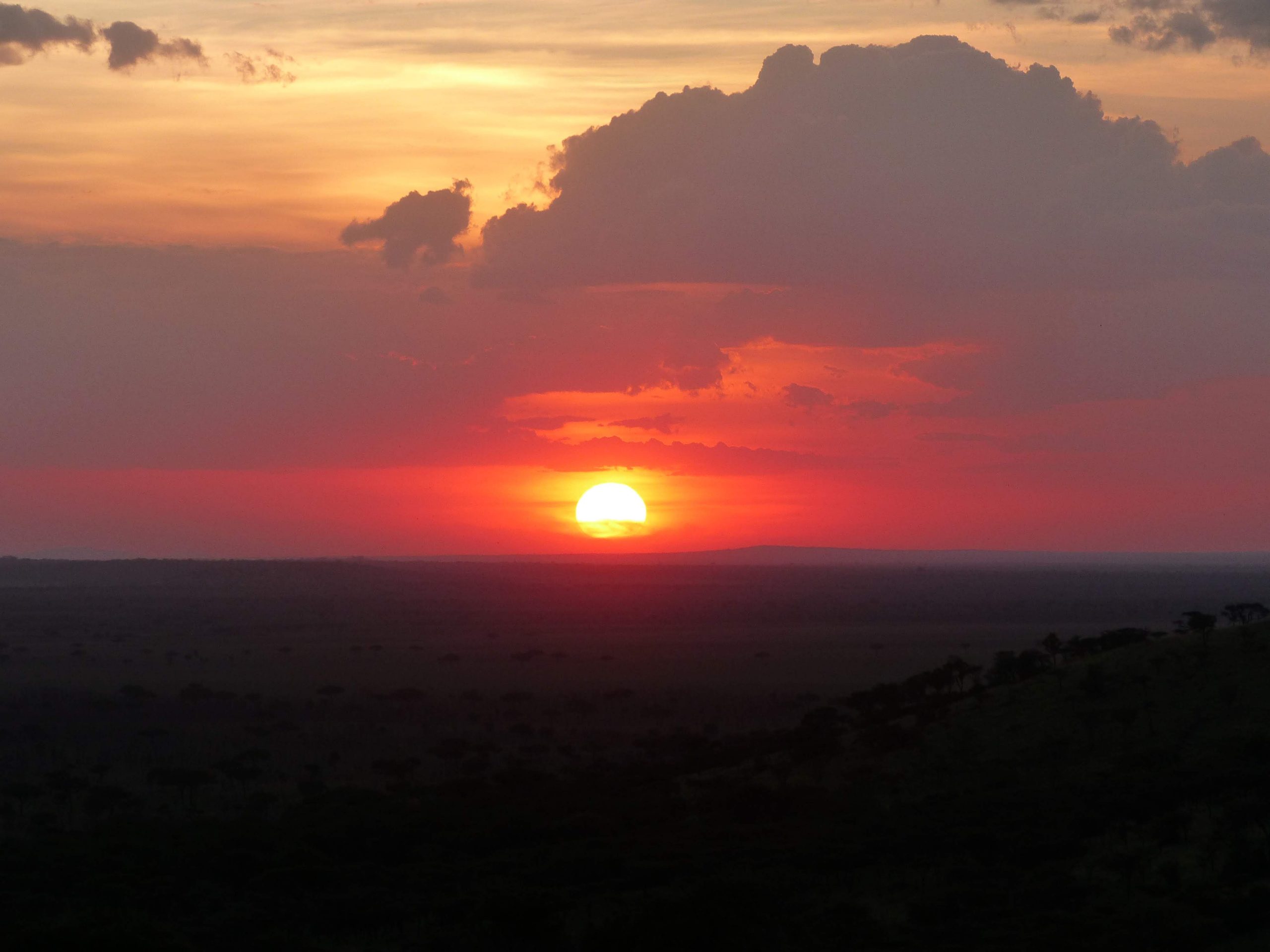 Coucher de soleil au Serengeti