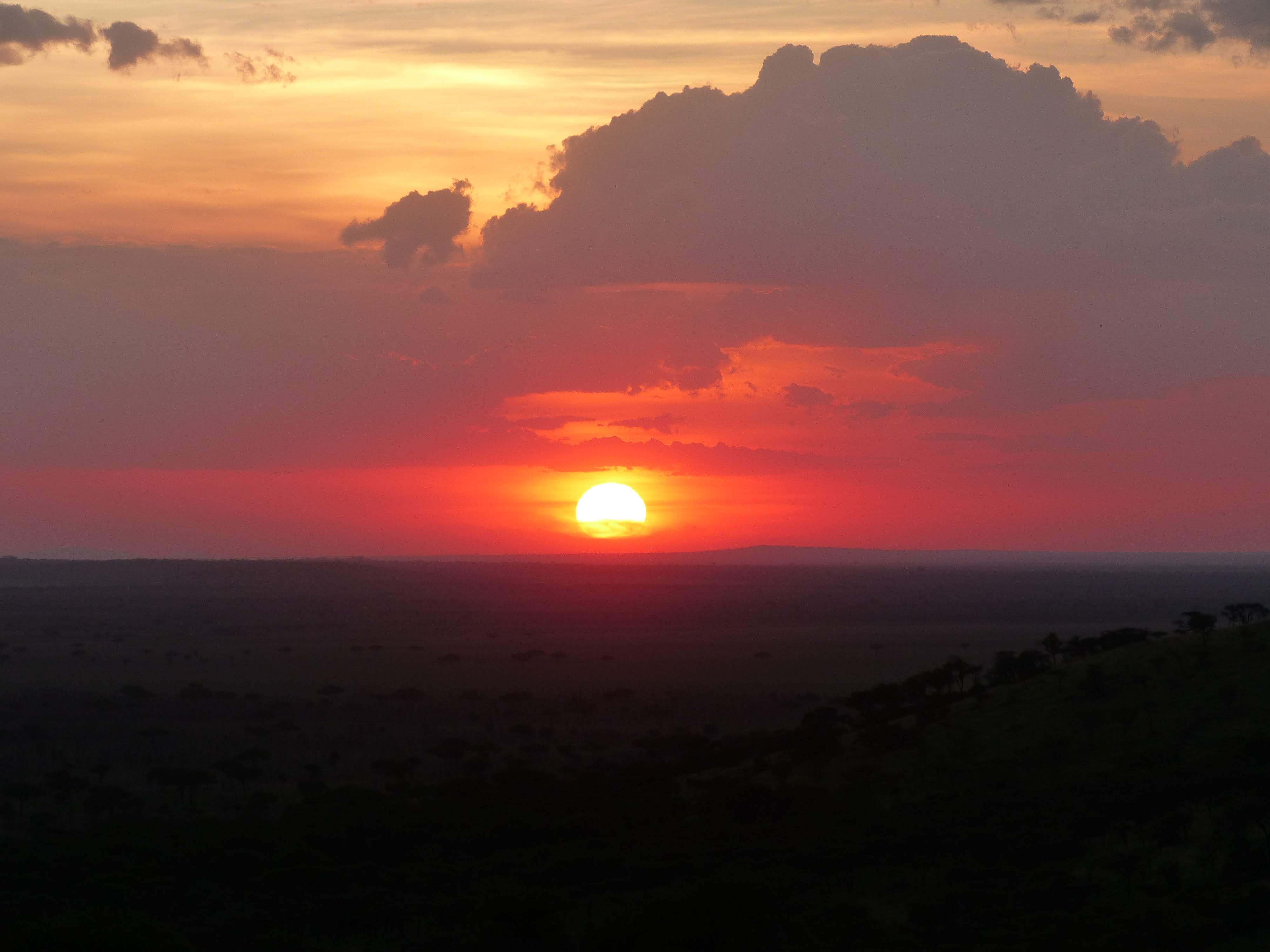 Coucher de soleil au Serengeti