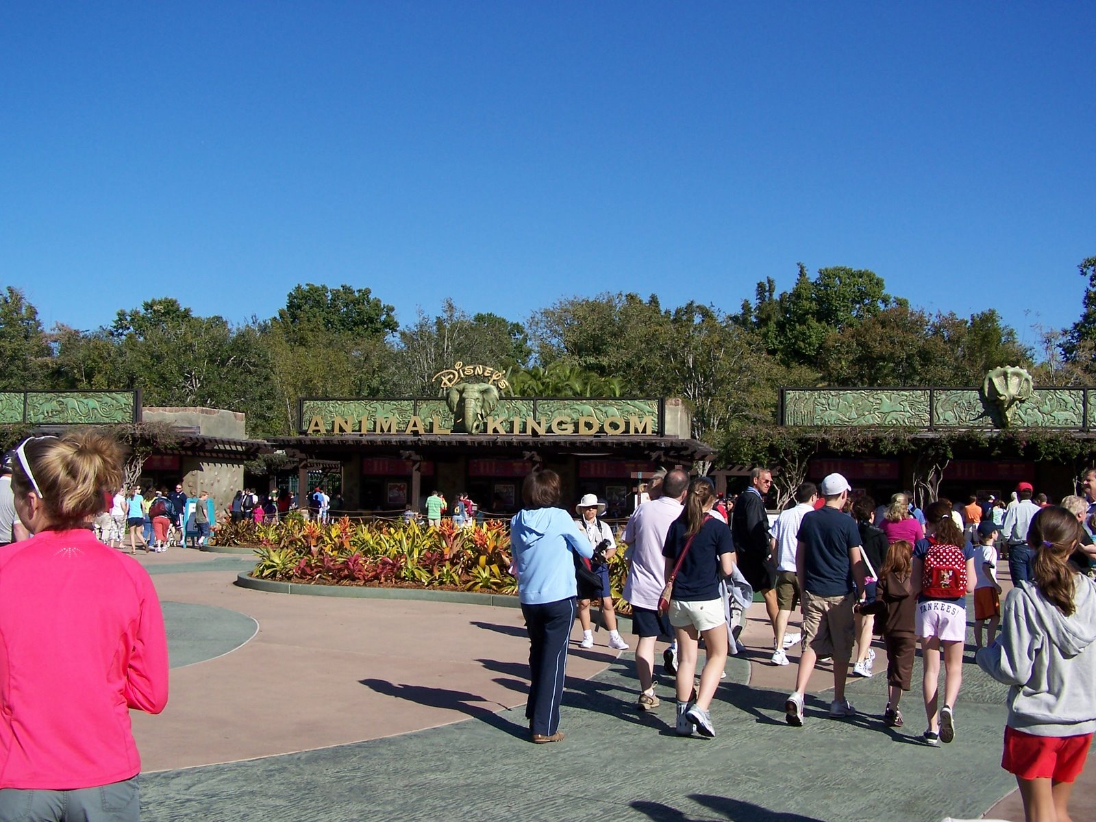 Animal Kingdom