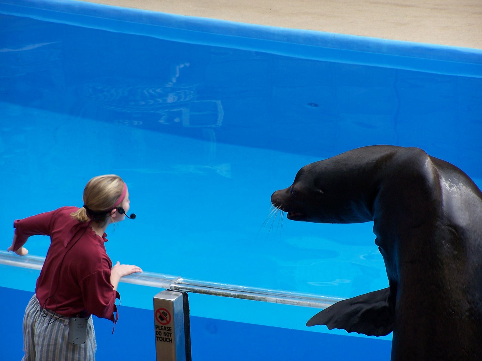 Clyde en grande discussion