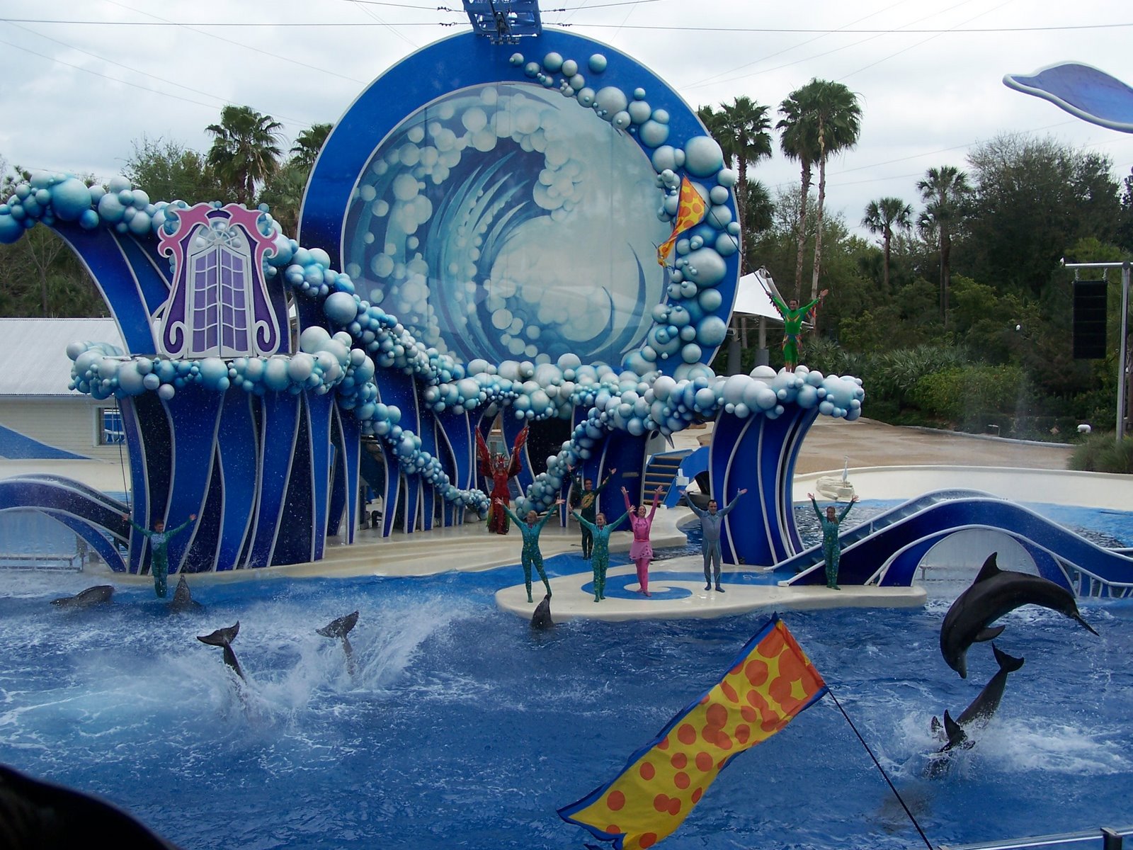 Le final de Blue Horizons : sauts de dauphins et vols d'oiseaux