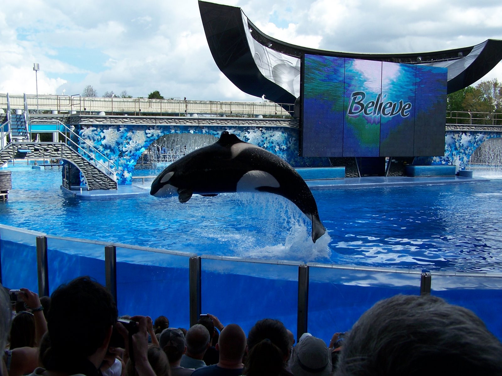 Le spectacle des orques : Believe