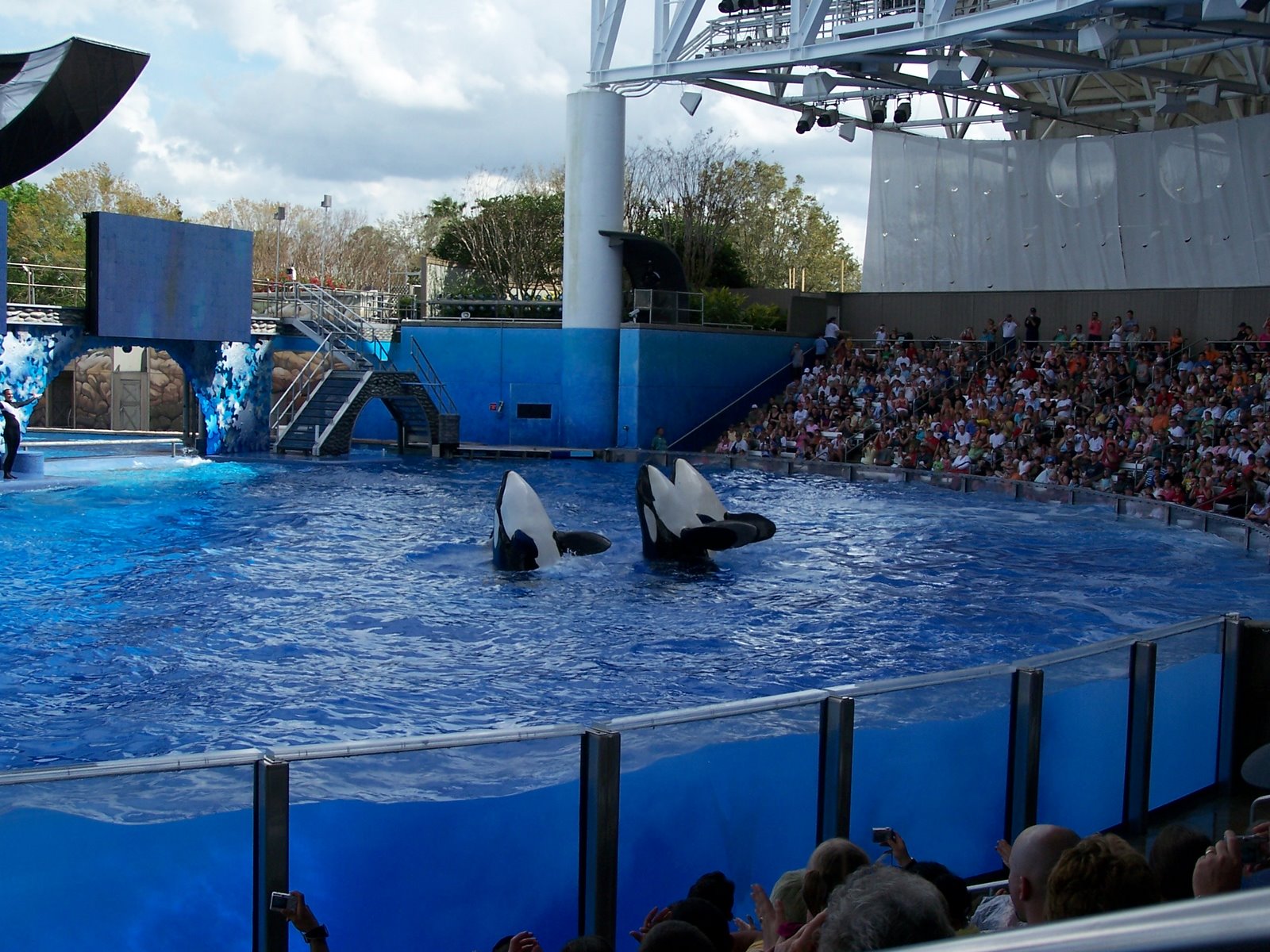 Le spectacle des orques : Believe