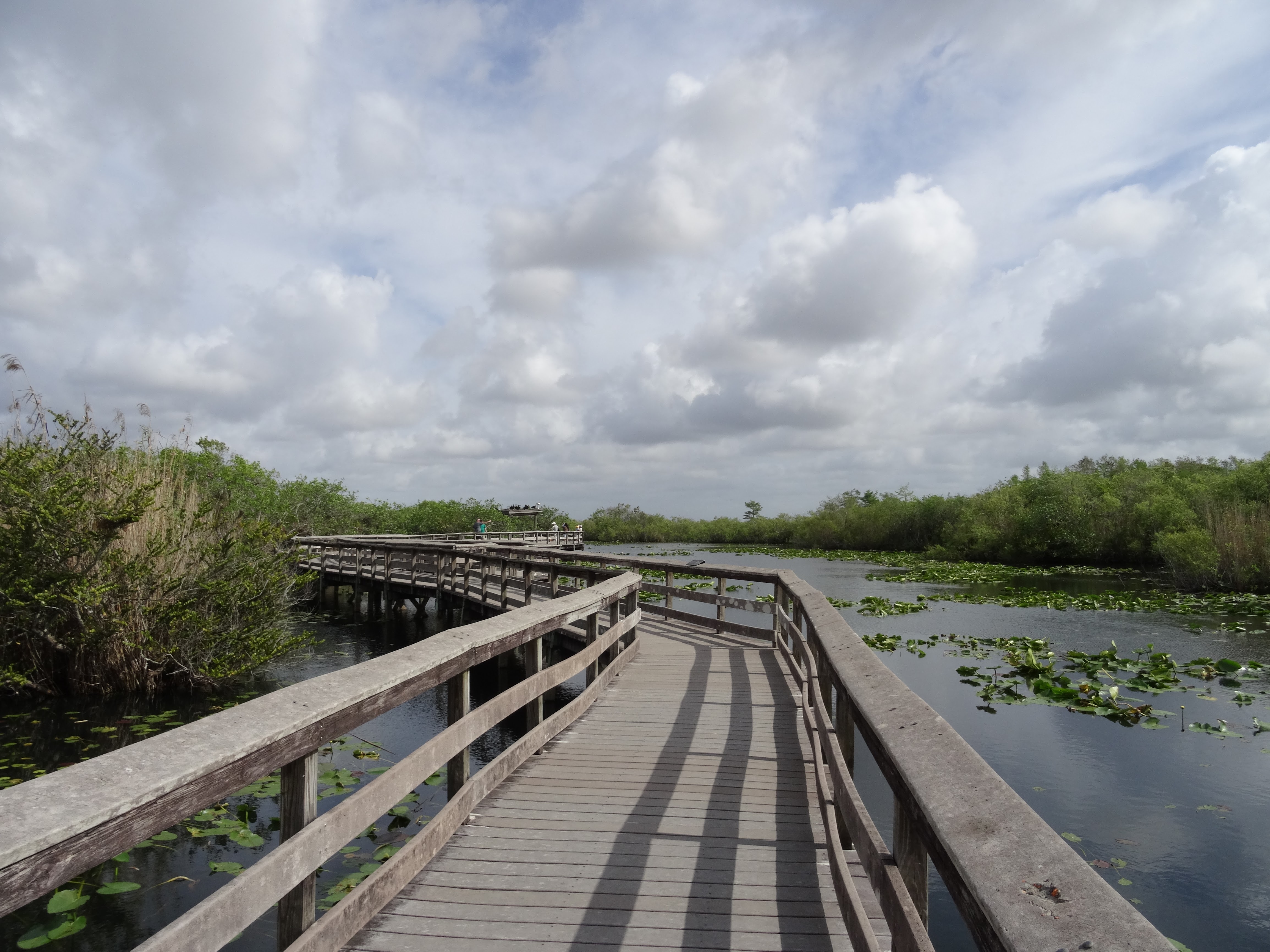 Everglades