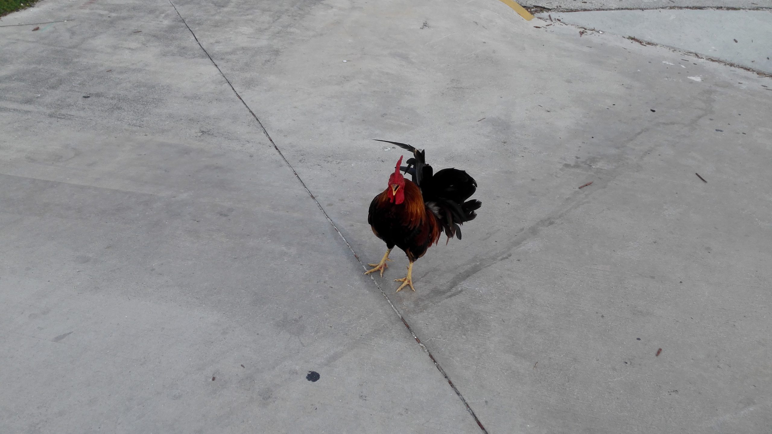 Key West