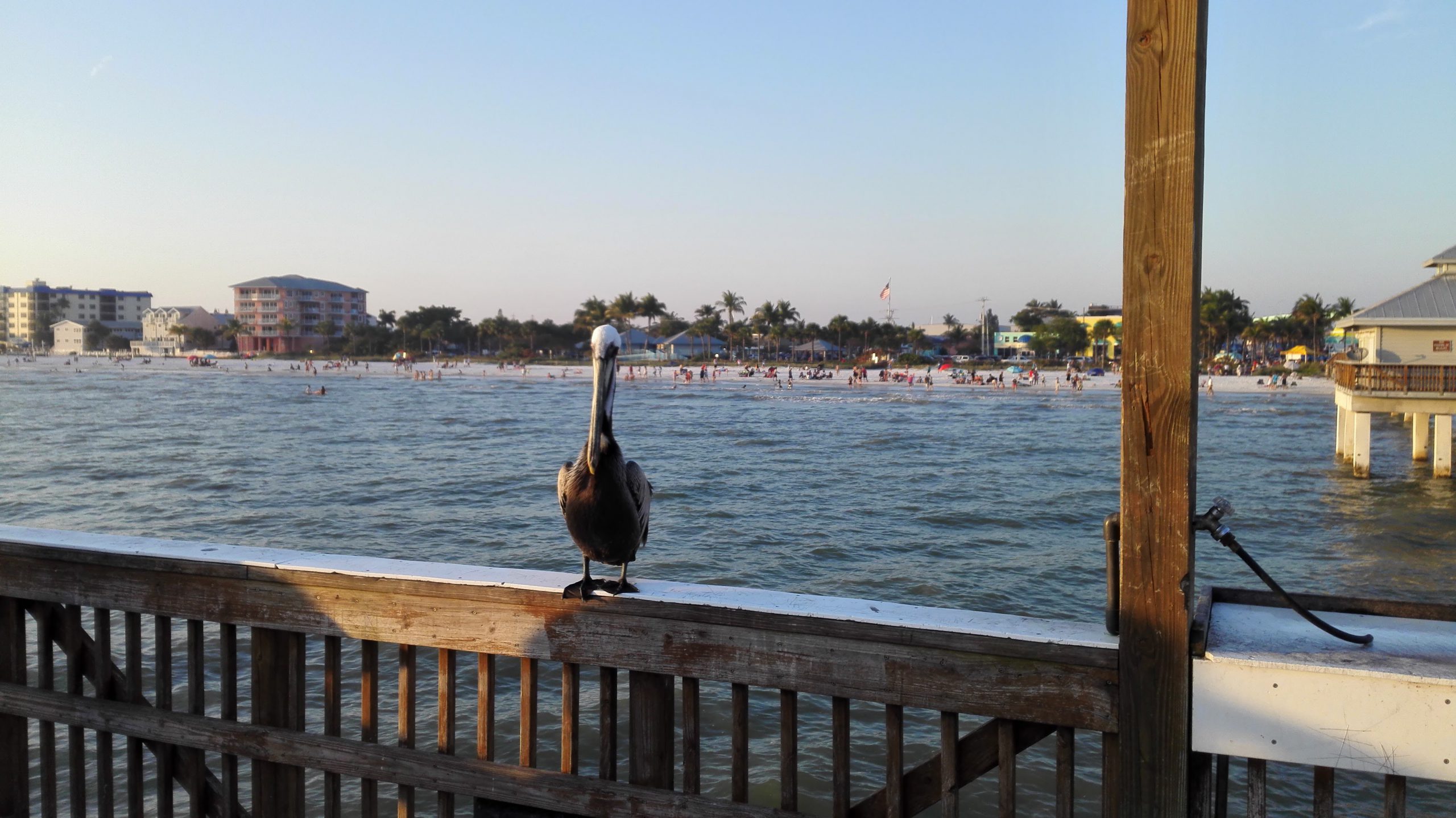Fort Myers