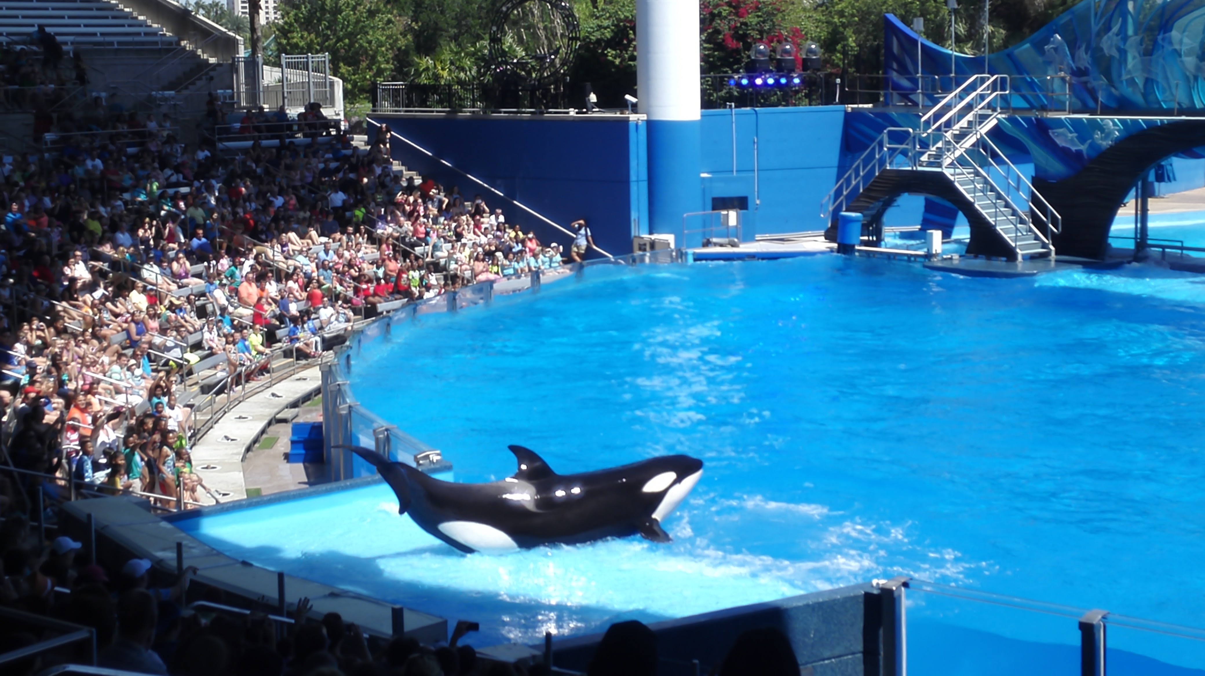 Seaworld