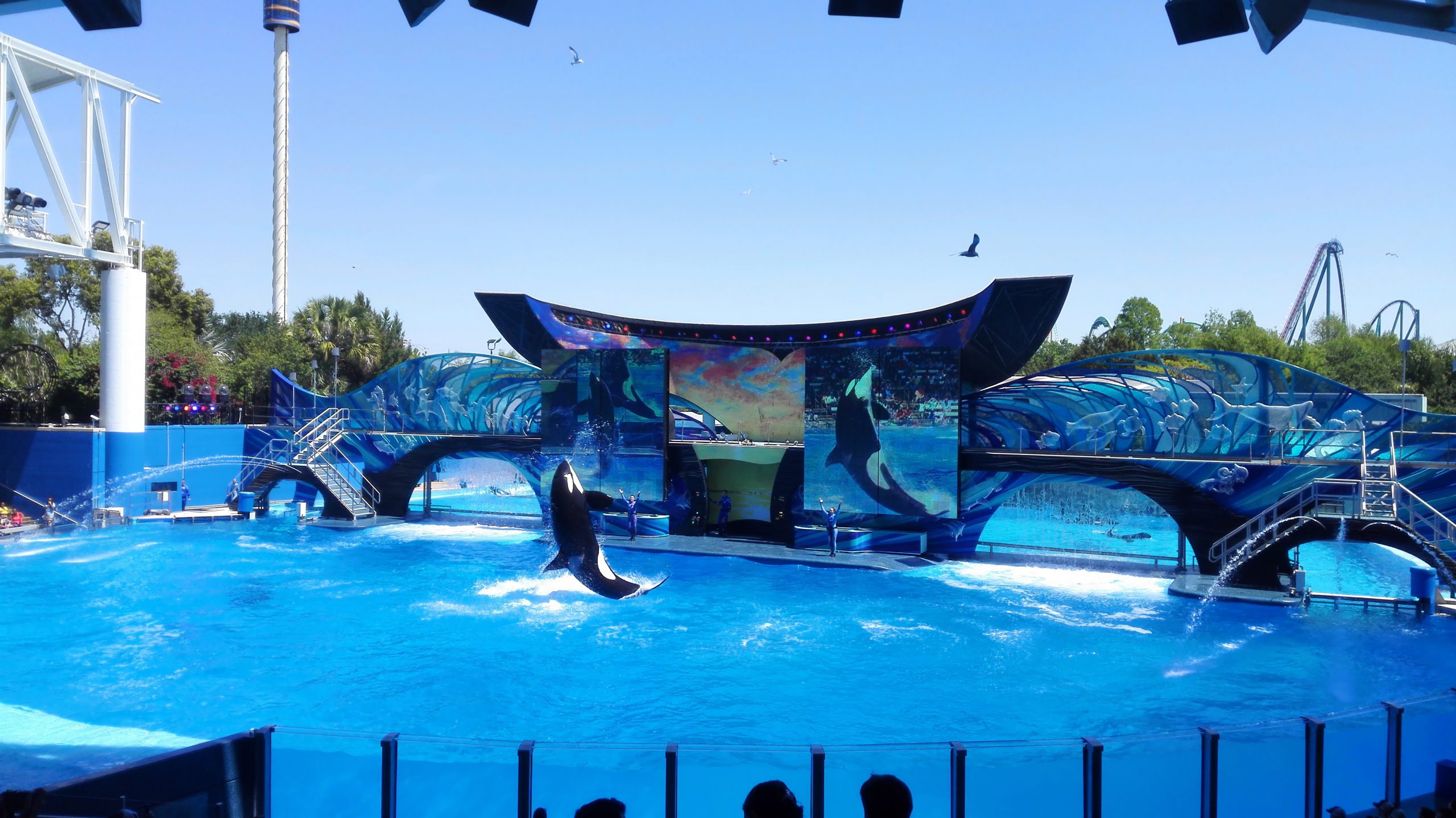 Seaworld