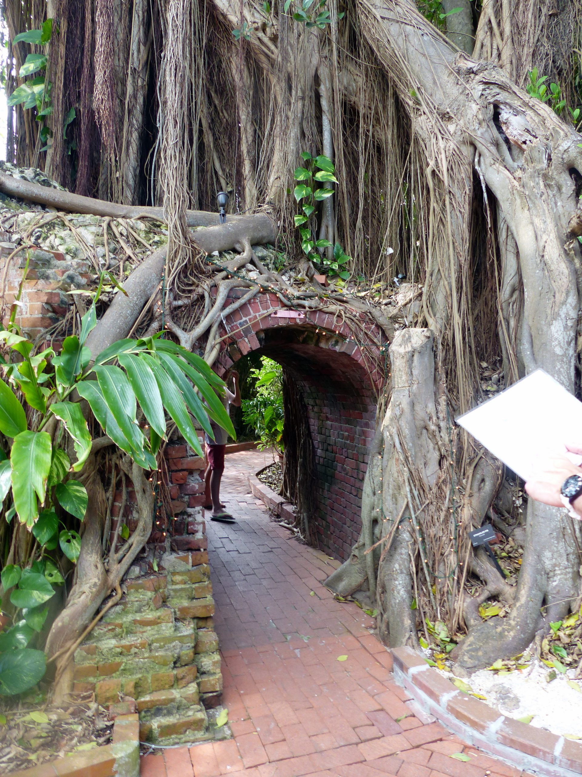 Key West Garden Club