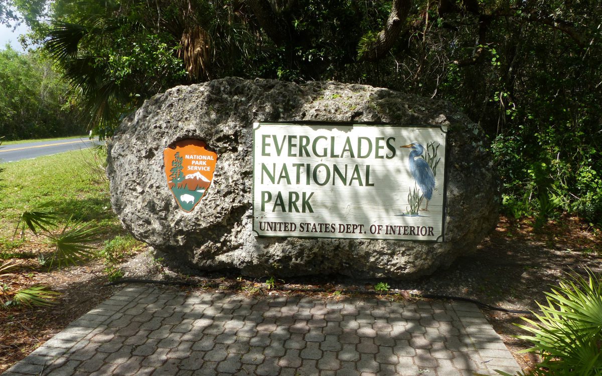 Everglades & Naples Everglades