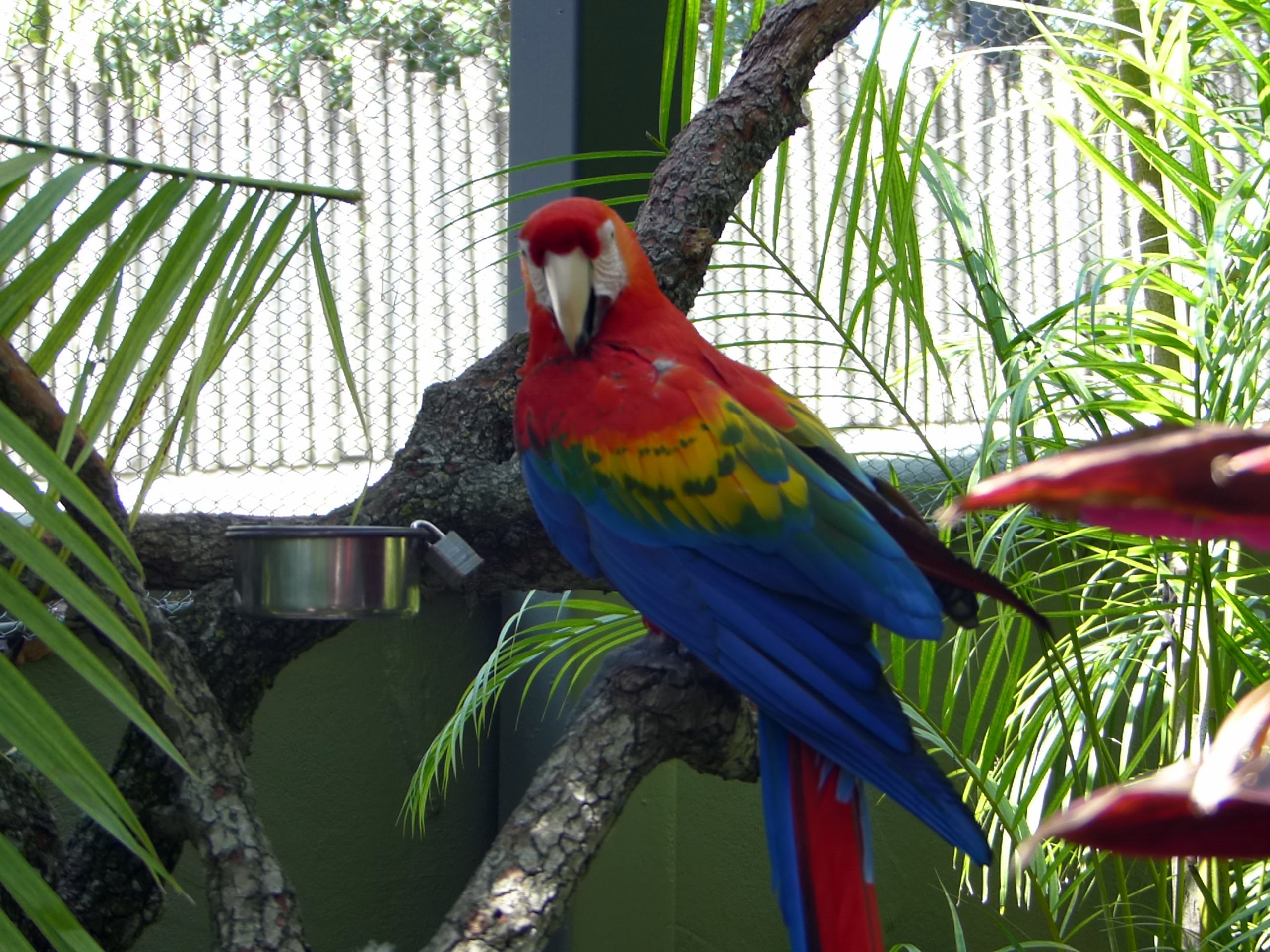 Busch Gardens