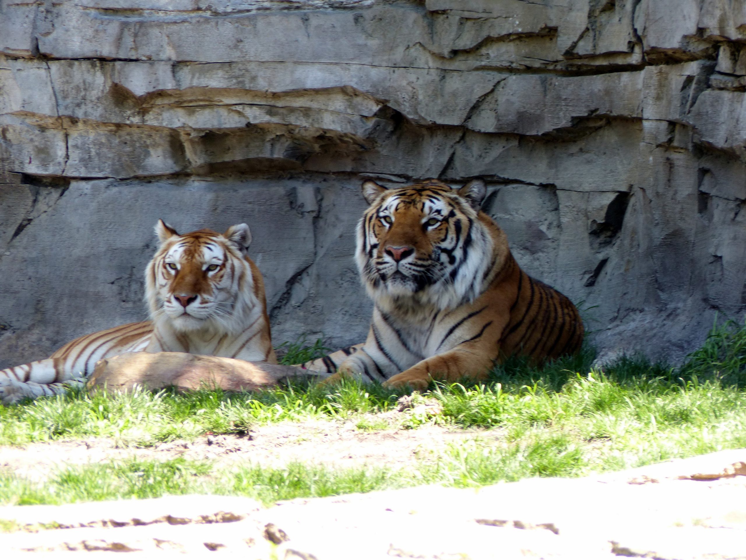 Busch Gardens