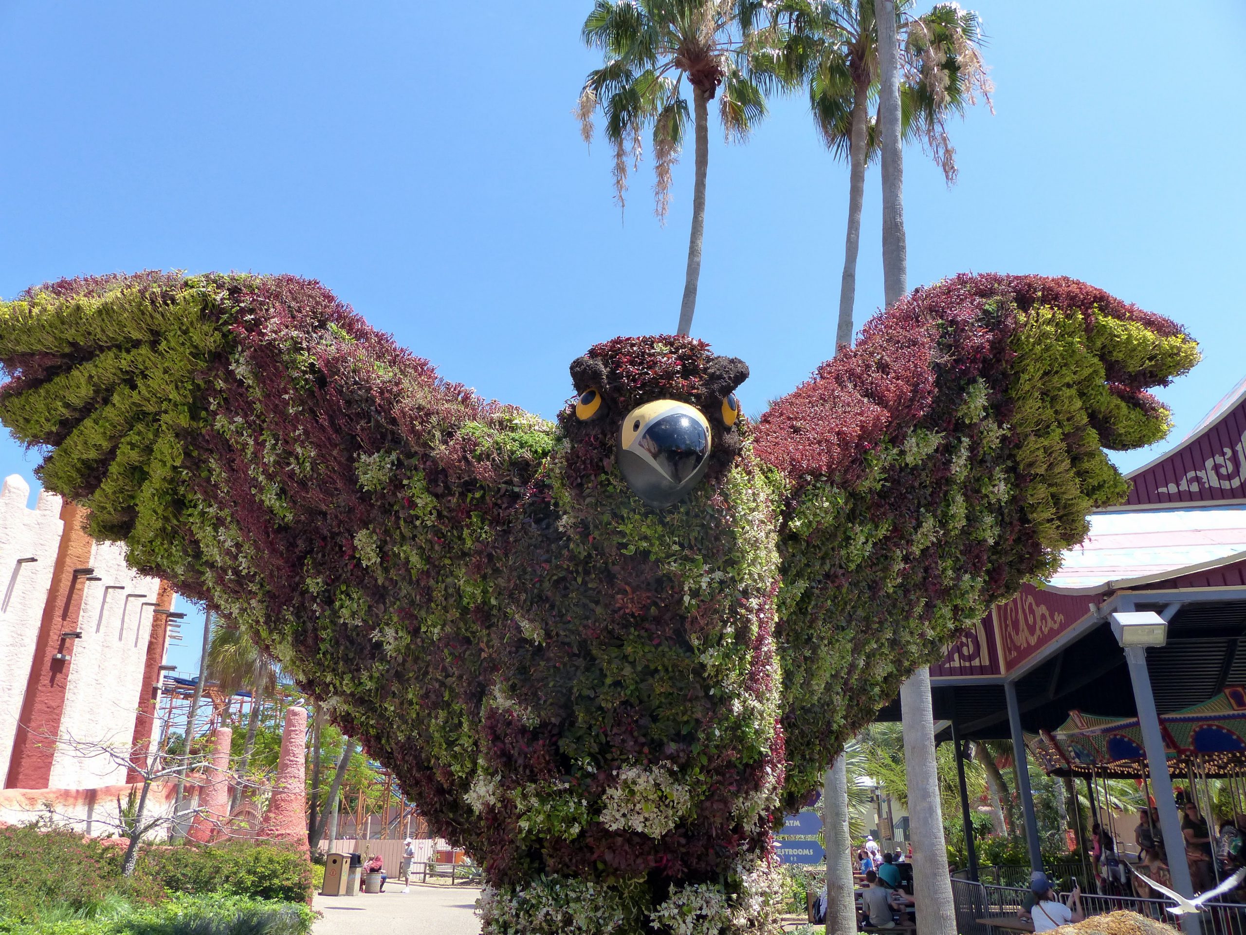 Busch Gardens