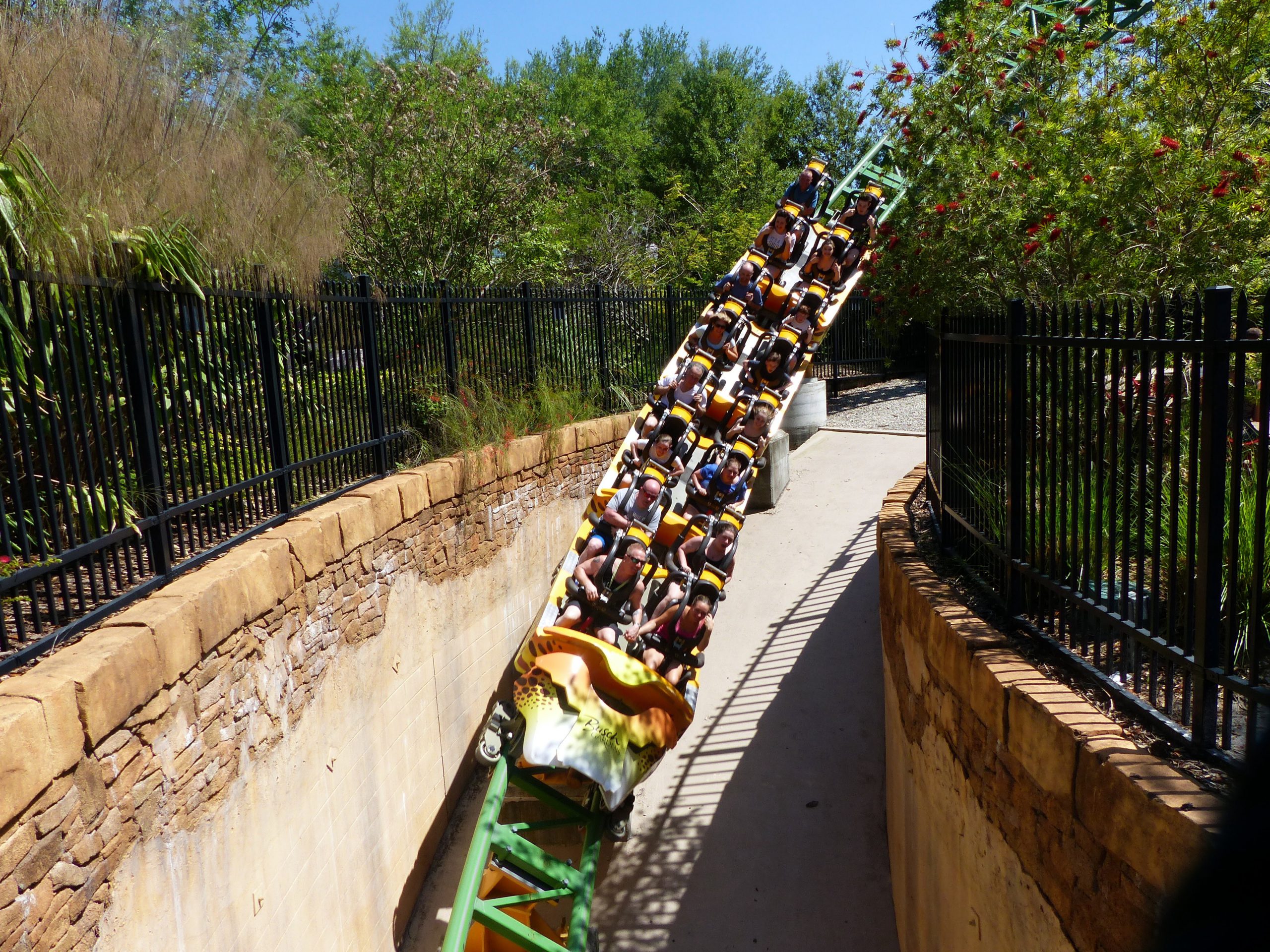 Busch Gardens