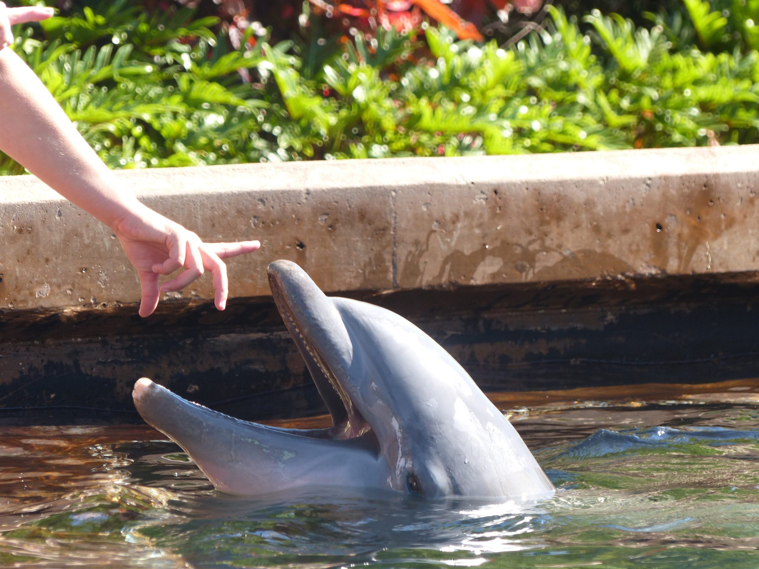 Seaworld