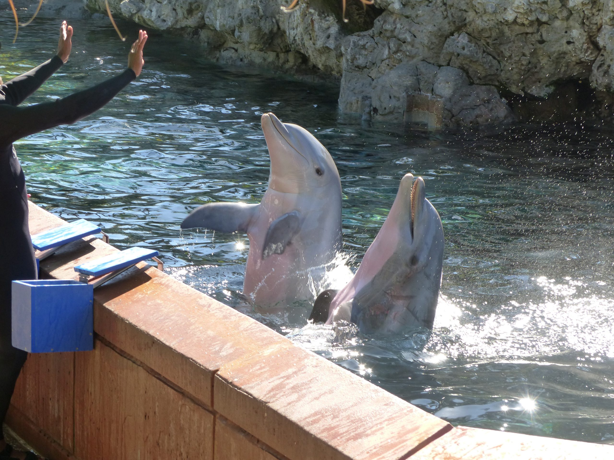 Seaworld