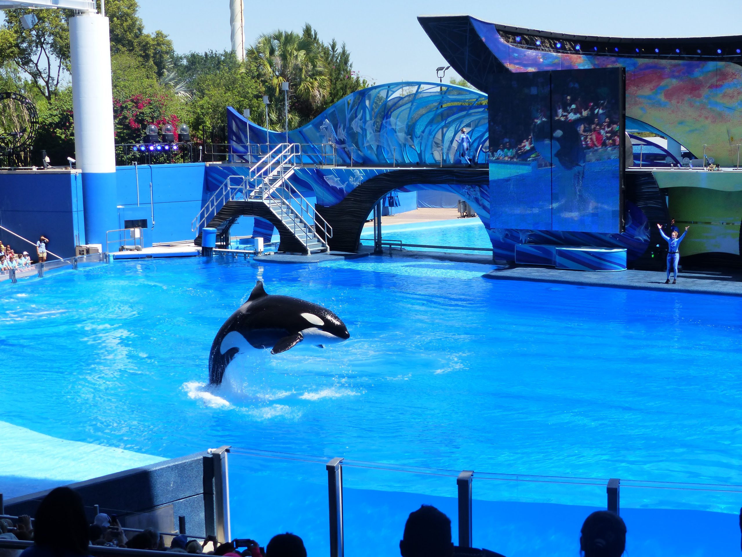 Seaworld