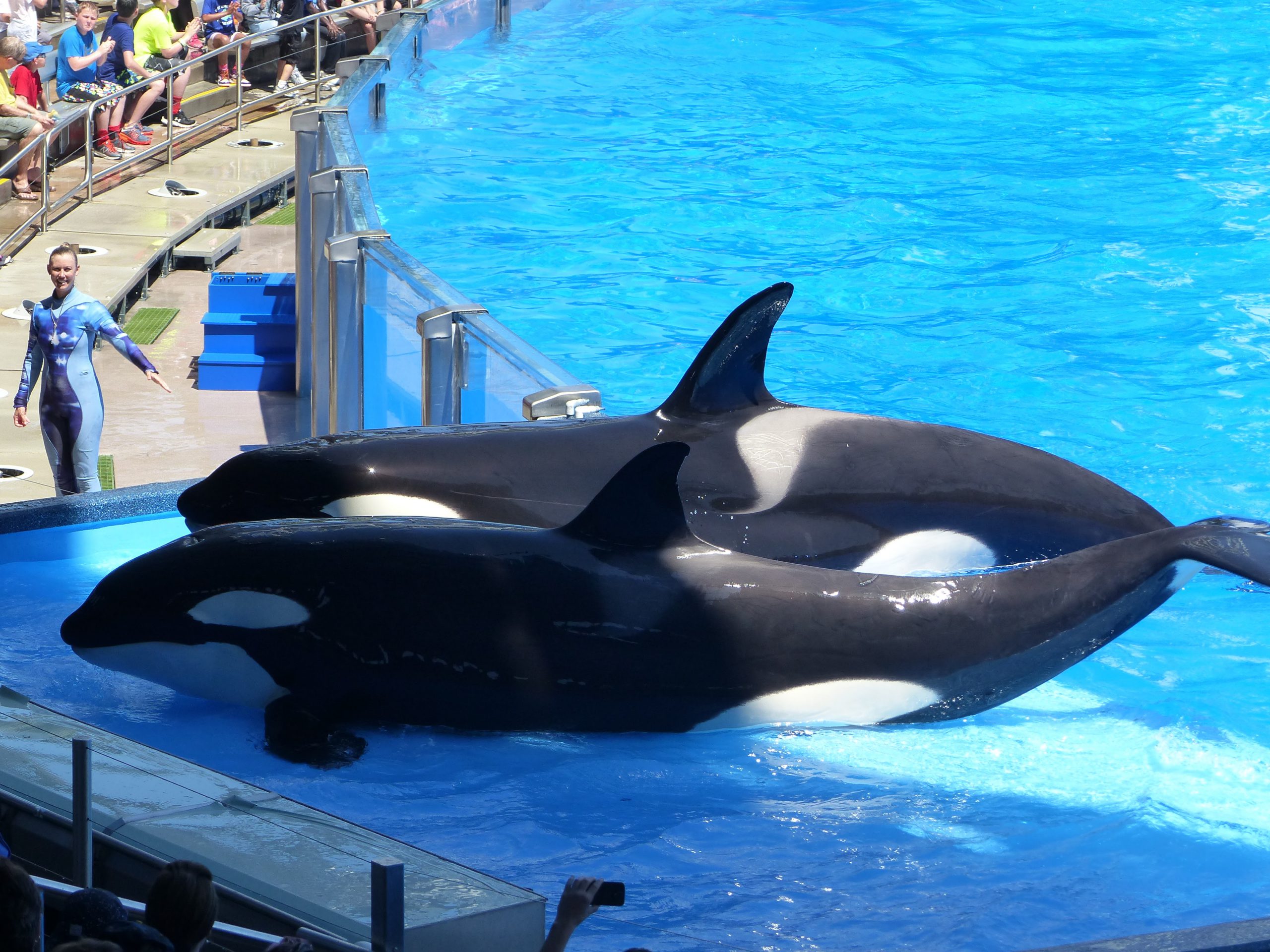 Seaworld